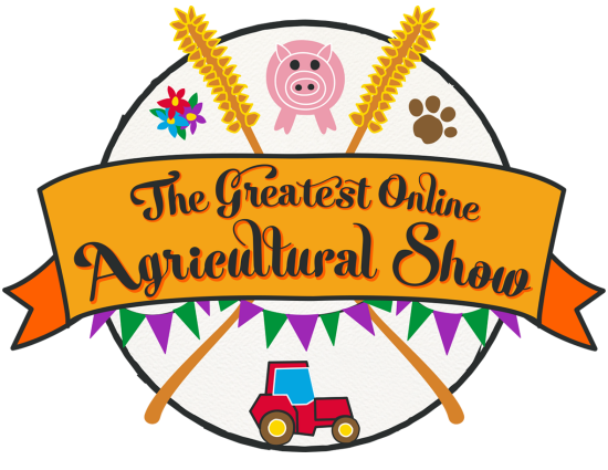 Virtual Shows