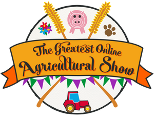 Virtual Shows