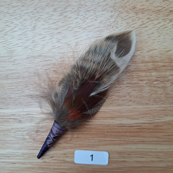 Hat Feather