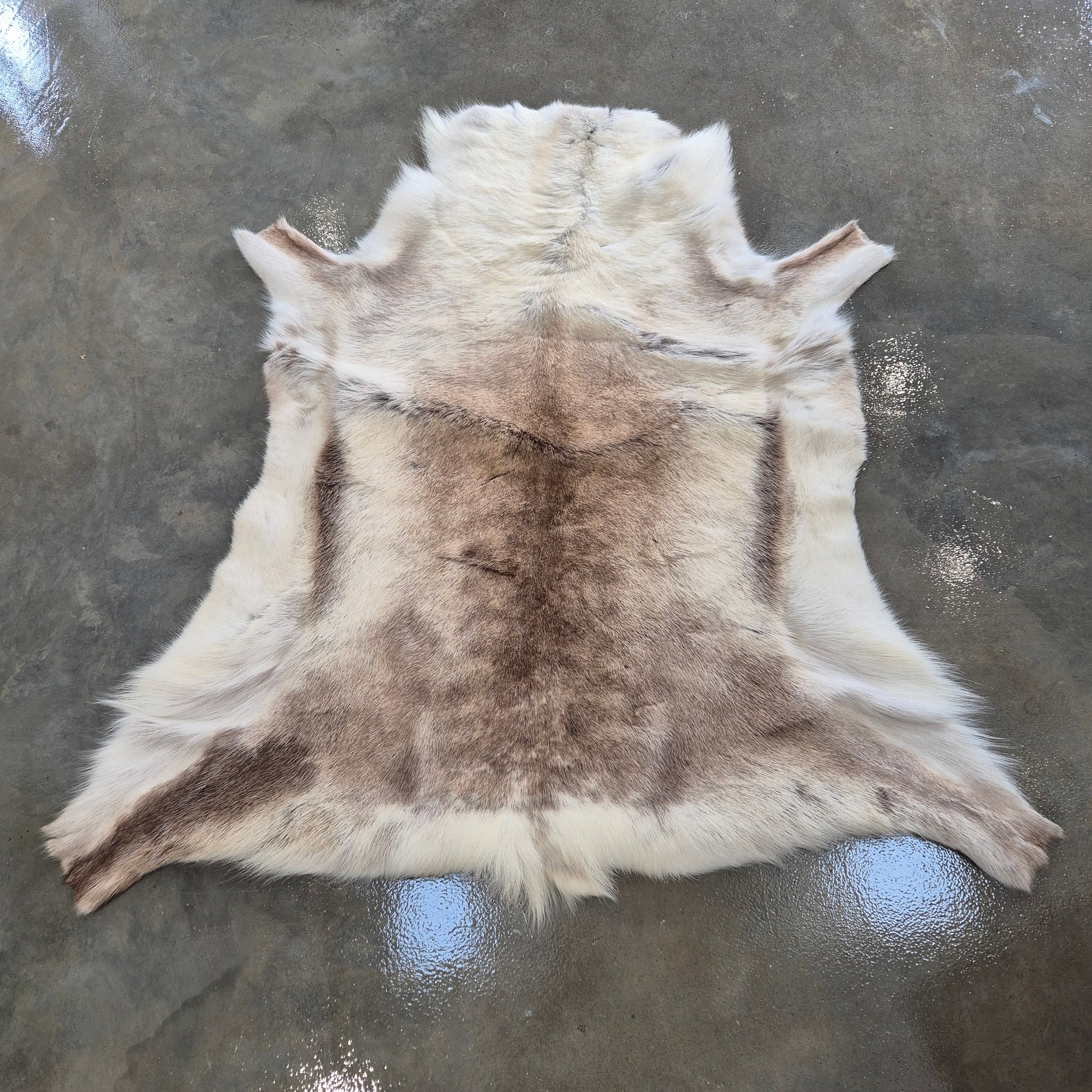 Reindeer Hide