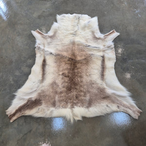 Reindeer Hide