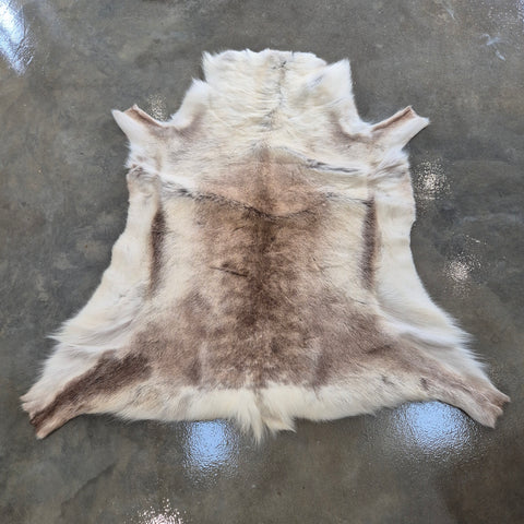 Reindeer Hide